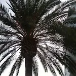 Bonaire Апартаменты